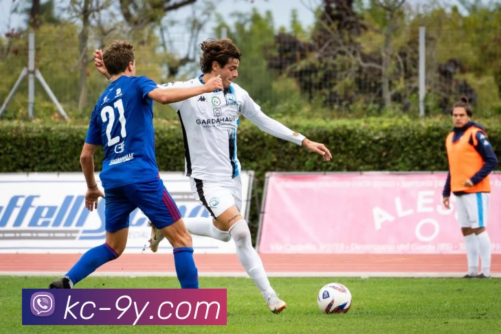 九游官网平台生态图